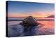 South Georgia Island, St. Andrew's Bay. Elephant Seal in Beach Surf at Sunrise-Jaynes Gallery-Premier Image Canvas