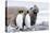 South Georgia, Salisbury Plain, king penguin, southern elephant seal-Ellen Goff-Premier Image Canvas