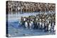 South Georgia, St. Andrew's Bay. Adult king penguins stand together at the edge of the river-Ellen Goff-Premier Image Canvas