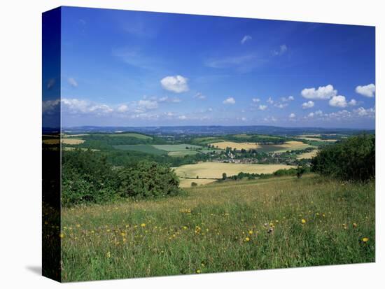 South Harting from the South Downs Way, Harting Down, West Sussex, England, United Kingdom-Pearl Bucknall-Premier Image Canvas