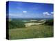 South Harting from the South Downs Way, Harting Down, West Sussex, England, United Kingdom-Pearl Bucknall-Premier Image Canvas