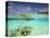 South Huvadhoo Atoll, Southern Maldives, Indian Ocean-Stuart Westmorland-Premier Image Canvas