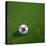 South Korean Soccerball Lying on Grass-zentilia-Stretched Canvas