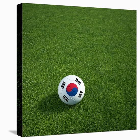 South Korean Soccerball Lying on Grass-zentilia-Stretched Canvas