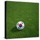 South Korean Soccerball Lying on Grass-zentilia-Stretched Canvas