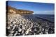 South Landing, Flamborough Head, East Riding of Yorkshire, England, United Kingdom, Europe-Mark Sunderland-Premier Image Canvas