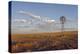 South Leunberger Windmill at Sunset-Amanda Lee Smith-Premier Image Canvas
