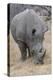 South Londolozi Private Game Reserve. Close-up of Rhinoceros Grazing-Fred Lord-Premier Image Canvas