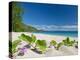 South Pacific, Fiji, Kadavu, Deserted Beach on the East Coast of Yaukuve Island-Paul Harris-Premier Image Canvas