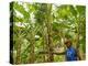 South Pacific, Fiji, Kadavu, Local Fijian Islander Checking His Banana Plantation on Dravuni Island-Paul Harris-Premier Image Canvas