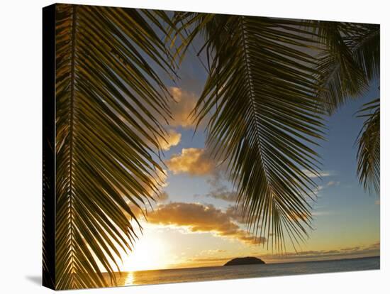 South Pacific, Fiji, Kadavu, Sunset Through Plams from the Beach on Dravuni Island-Paul Harris-Premier Image Canvas