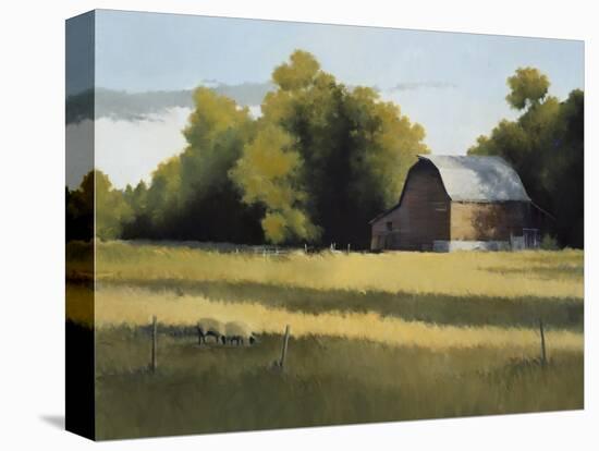 South Pasture-David Marty-Premier Image Canvas