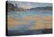 South Sands Beach, Salcombe, 2016-Jennifer Wright-Premier Image Canvas