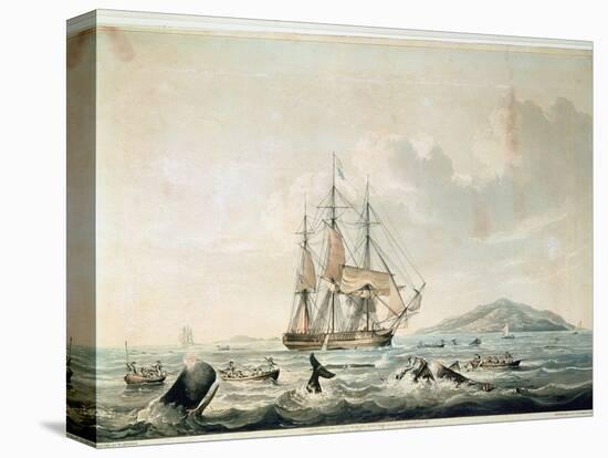 South Sea Whale Fishery, Engraved by T. Sutherland, 1825-William John Huggins-Premier Image Canvas