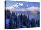 South Sister, Deschutes National Forest, Oregon, USA-Charles Gurche-Premier Image Canvas