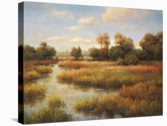 Southern Bayou-Charles Morton-Stretched Canvas
