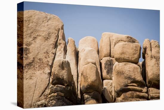 Southern California, Joshua Tree National Park-Alison Jones-Premier Image Canvas