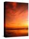 Southern California Sunset at Beach-Mick Roessler-Premier Image Canvas