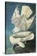 Southern Caracara-John James Audubon-Stretched Canvas