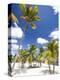 Southern Cross Club, Little Cayman, Cayman Islands, Caribbean-Greg Johnston-Premier Image Canvas