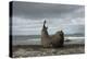 Southern Elephant Seal-Joe McDonald-Premier Image Canvas