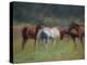 Southern Horses-Valtcho Tonov-Stretched Canvas