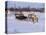 Southern Lapp with Reindeer Sledge, Roros, Norway, Scandinavia-Adam Woolfitt-Premier Image Canvas