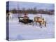 Southern Lapp with Reindeer Sledge, Roros, Norway, Scandinavia-Adam Woolfitt-Premier Image Canvas