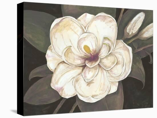 Southern Magnolia-Filippo Ioco-Stretched Canvas