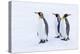 Southern Ocean, South Georgia. Portrait of king penguins in the snow.-Ellen Goff-Premier Image Canvas