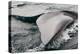 Southern Right Whale Fluke-James White-Premier Image Canvas