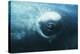 Southern Right Whale's Eye-Doug Allan-Premier Image Canvas