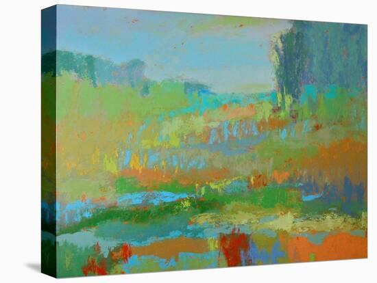 Southern View II-Jane Schmidt-Stretched Canvas