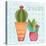 Southwest Cactus IV-Courtney Prahl-Stretched Canvas