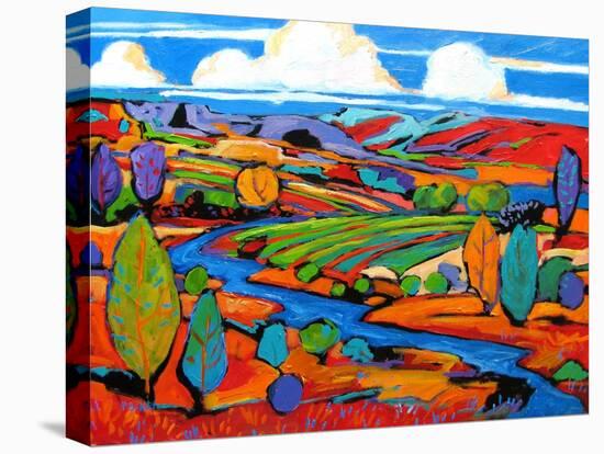 Southwest Fauve Landscape-Patty Baker-Stretched Canvas