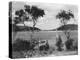 Southwest Harbor Looking toward Somes Sound in Maine-null-Premier Image Canvas