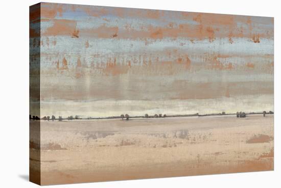 Southwest Vista I-Tim OToole-Stretched Canvas