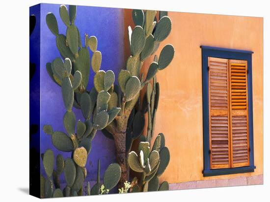 Southwestern Cactus and Window, Tucson, Arizona, USA-Tom Haseltine-Premier Image Canvas