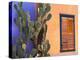 Southwestern Cactus and Window, Tucson, Arizona, USA-Tom Haseltine-Premier Image Canvas