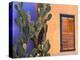 Southwestern Cactus and Window, Tucson, Arizona, USA-Tom Haseltine-Premier Image Canvas