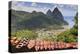Souvenir Stall with View of the Pitons and Soufriere-Eleanor-Premier Image Canvas
