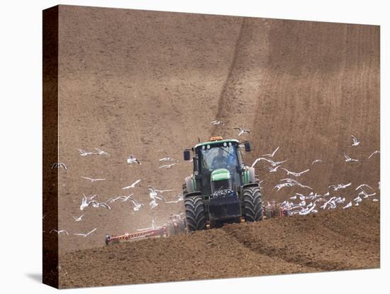 Sowing a Cereal Crop In Mid March-Adrian Bicker-Premier Image Canvas