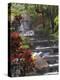 Spa and Gardens of Tabacon Hot Springs, Costa Rica-Michele Westmorland-Premier Image Canvas