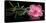 Spa Concept of Blooming Pink Hibiscus and Green Tendril Passionflower-Olga Khomyakova-Premier Image Canvas