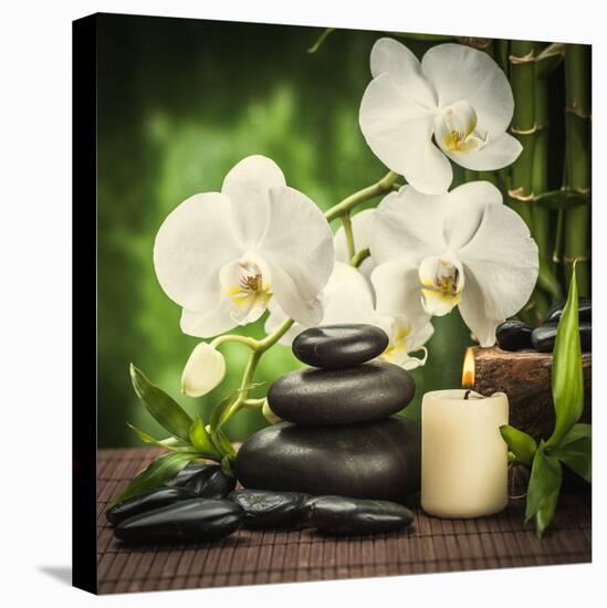 Spa Concept with Zen Basalt Stones and Orchid-scorpp-Premier Image Canvas