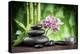 Spa Concept Zen Basalt Stones ,Orchid and Candle-scorpp-Premier Image Canvas