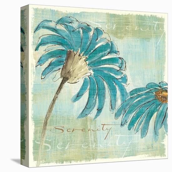 Spa Daisies IV-Chris Paschke-Stretched Canvas