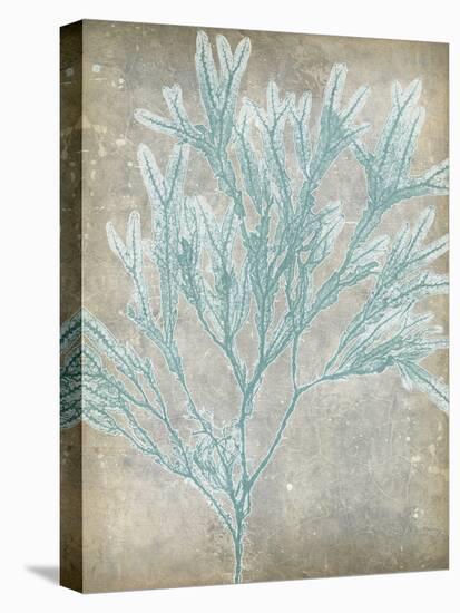 Spa Seaweed I-Jennifer Goldberger-Stretched Canvas