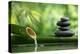 Spa Still Life With Bamboo Fountain And Zen Stone-Liang Zhang-Premier Image Canvas
