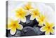 Spa Still Life with Frangipani Flowers,White Towel and Zen Stone-Liang Zhang-Premier Image Canvas